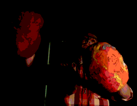 elephants performance gif